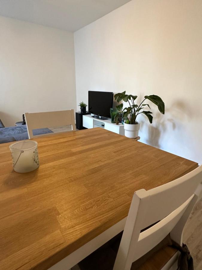 Living Lu - Cosy Apartment - Netflix - Mannheim - Basf Людвигсхафен-на-Рейне Экстерьер фото